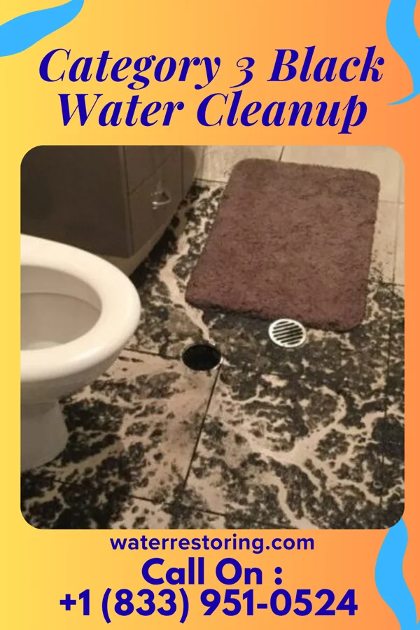 Category 3 Black Water Cleanup in Florence, SC