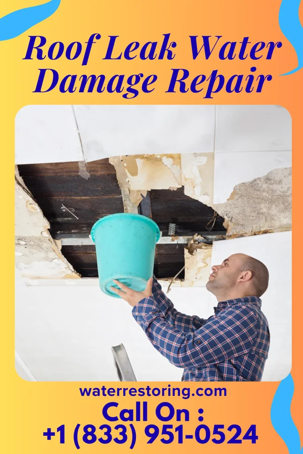 Roof Leak Water Damage Repair in Florence, SC